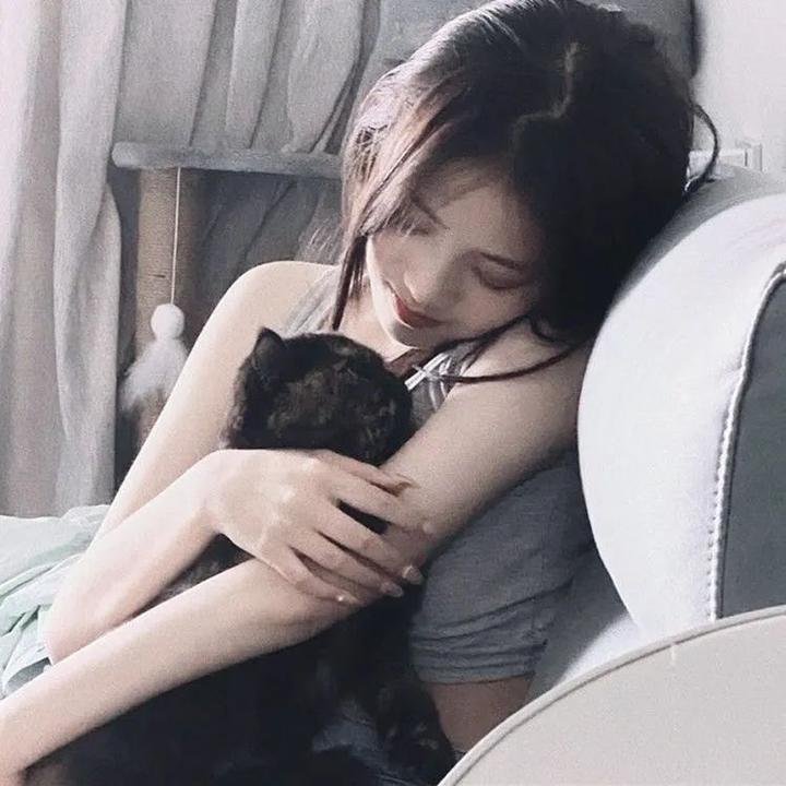 狗假死之物