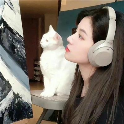 河曲马